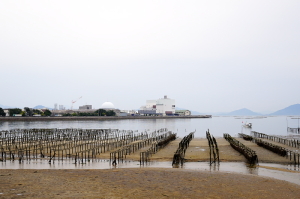 α7ⅡをBESVに