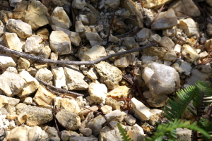 石について 石について