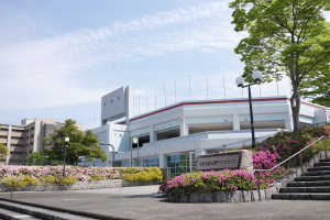 こころの紅白つつじ帯2026