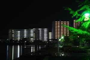 坂町・なぎさ公園夜景 坂町・なぎさ公園夜景