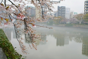 広島　元安川の霧